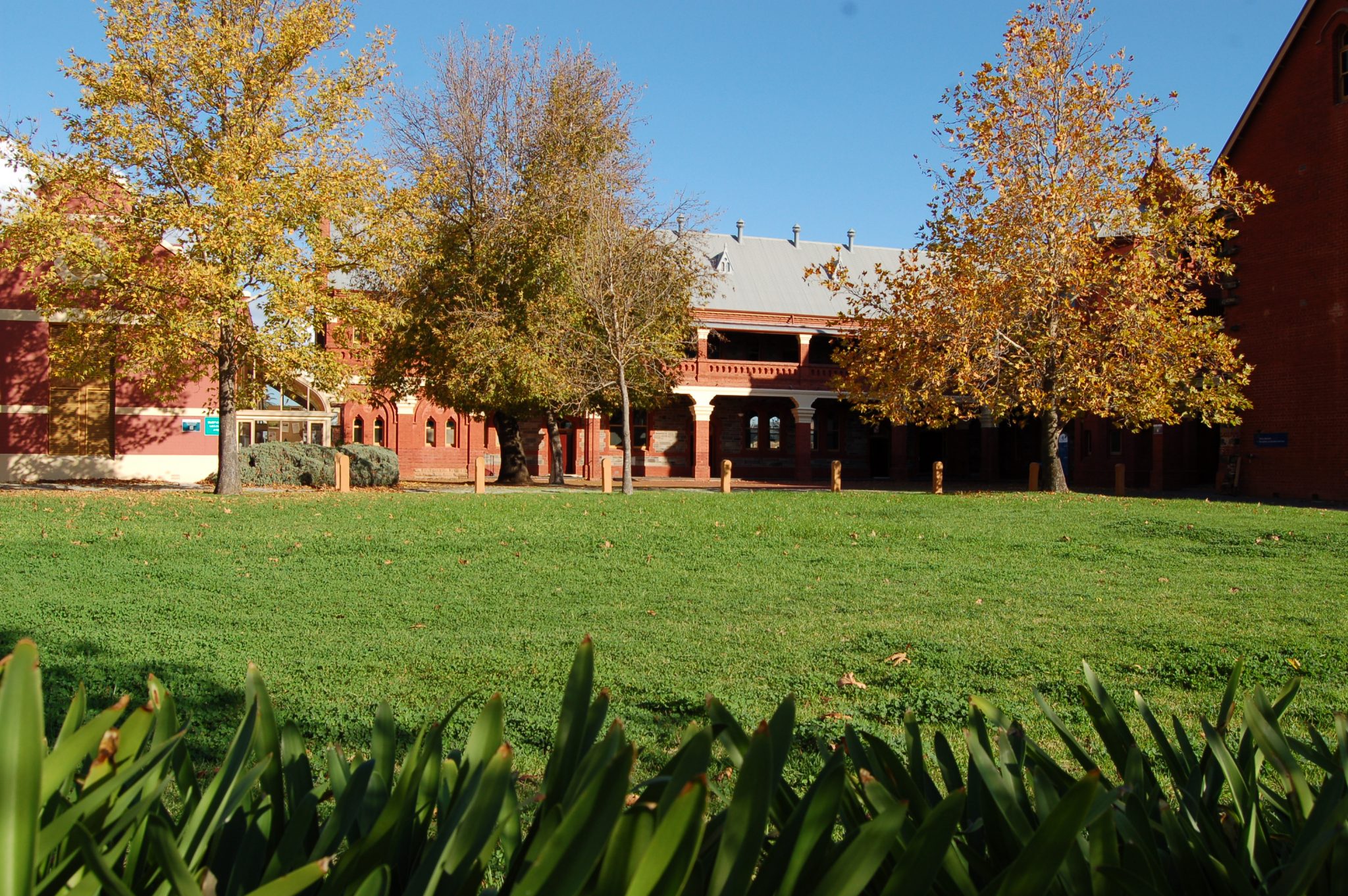 millswood_HD